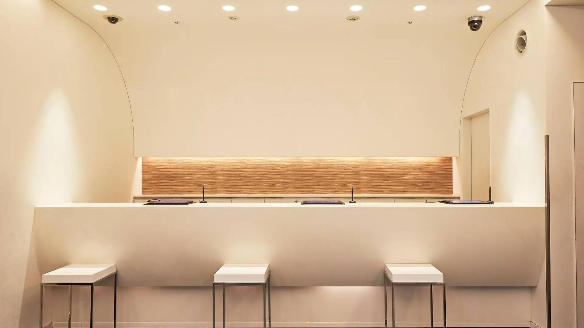 Hotel Sotetsu Fresa Inn Shimbashi-Karasumoriguchi Tokyo